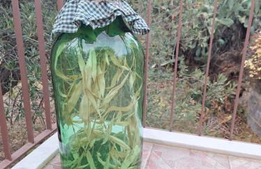 Casa Vacanze Geppy e Minù Gole Alcantara - Foto 11