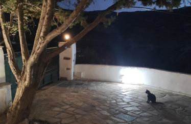 Joanna Studio - Photo 27