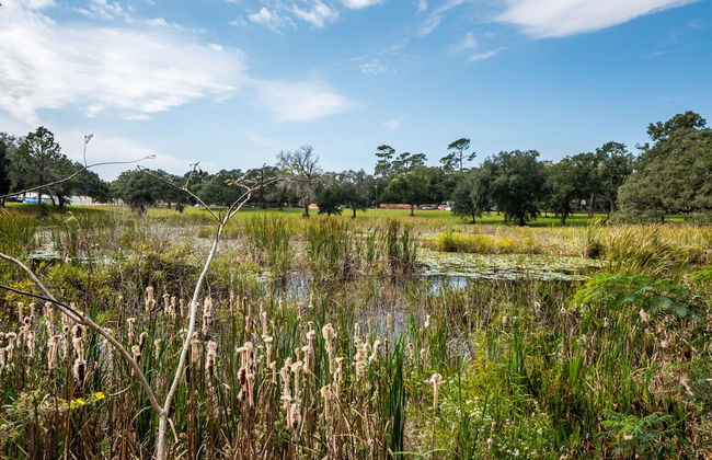 The Tree'Ke Resort - Foto 22