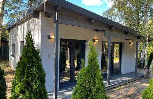 Ackermannia - Foto 75