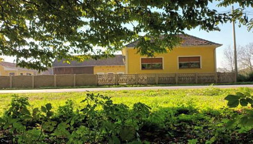 Forest idyll - Foto 3