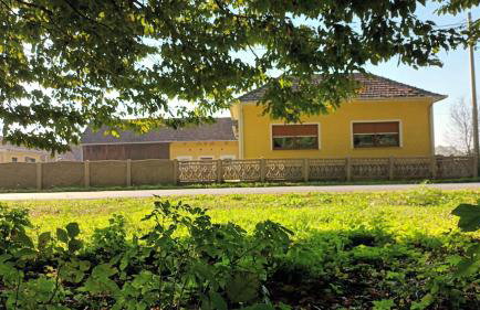 Forest idyll - Foto 3