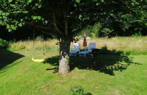 Maison à la campagne au cœur du Cantal dept 15 - Foto 10