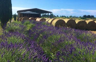 Tenuta Saracone - Foto 54