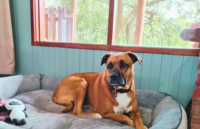 Rustic Country Lane Farmhouse in Lysterfield - Foto 22