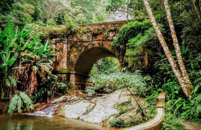 Senderismo por el Parque Nacional de Tijuca - Foto 2
