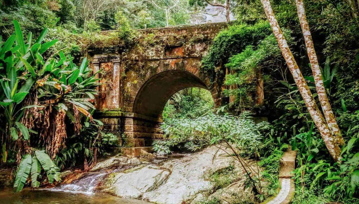 Scenery in the Tijuca National Park