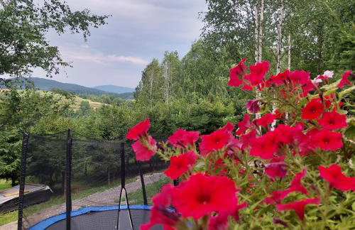 Świerkowy Zakątek u Bacy - Foto 13