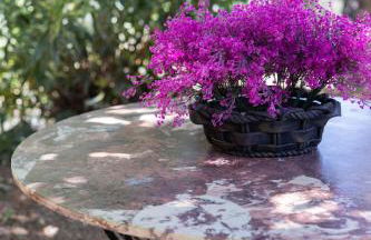 Finca Navalpino a 900 m de Puy du Fou - Foto 25