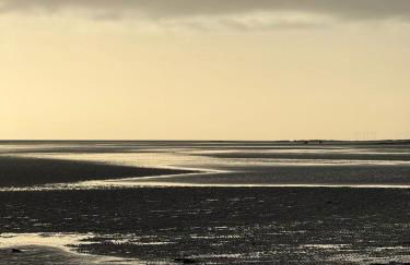 Paws A While - Foto 13