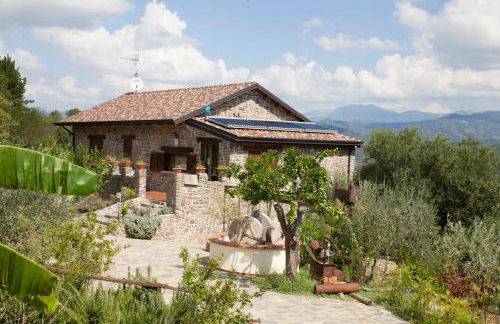 Il Vecchio Frantoio - Foto 6