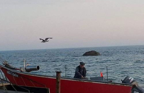 Beach House - Between Porto and Viana do Castelo - Foto 42