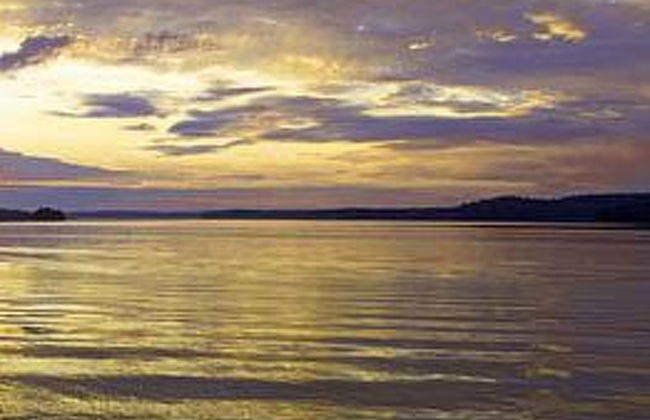 Villa kuotaa - Foto 16