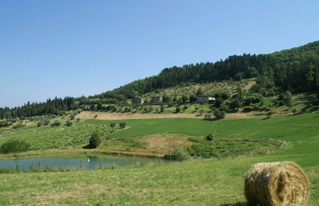 Agriturismo Poggio di Montepescoli - Il Noce - Foto 30