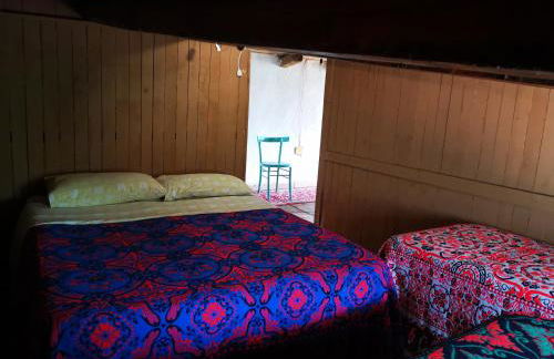 Pinnettu sardo casa di campagna in ecosistema insetti e animaletti simpatici in condivisione,Leggere attentamente Prima di prenotare - Foto 24