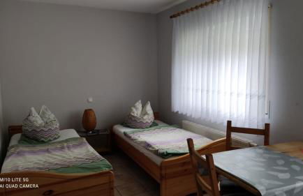 Pension und Ferienwohnung Walther App. 2 - Foto 3