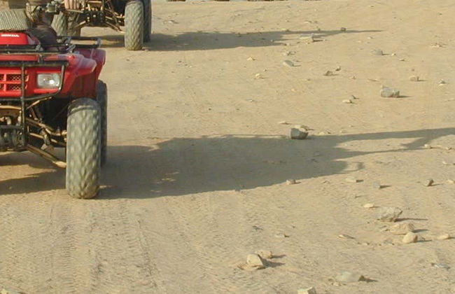 Desert Quad Tour + Camel Ride - Photo 7