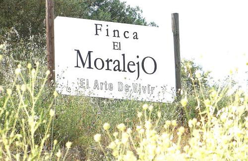 Rural cottage VINCENT van Gogh, with spectacular pool & OPTIONAL private 6 guests jacuzzi - Foto 71