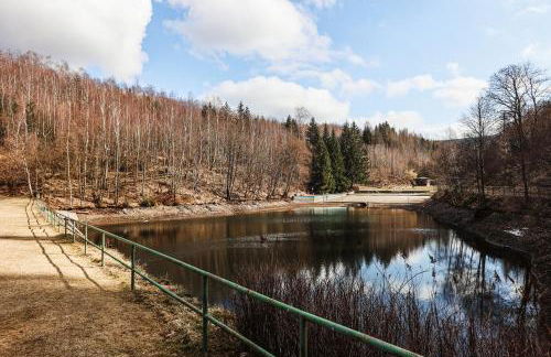 NEU Inner Light, mit privater Sauna und schnellen Internet, Luxuriöses Ferienhaus im Harz - Foto 42