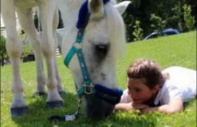 Agriturismo Randis - Foto 37