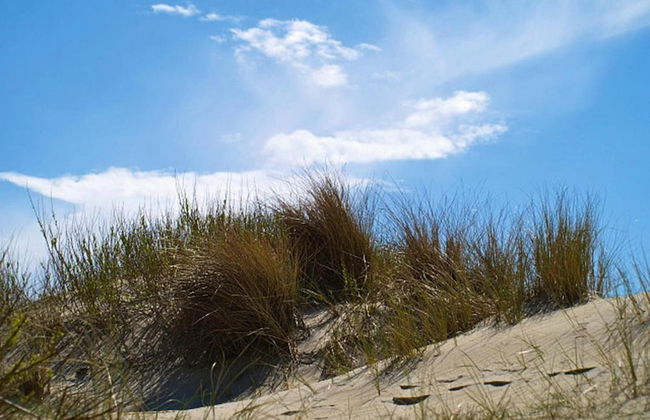 Doppelhaus in Oldsum auf Foehr - Foto 10