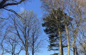 JS Holidays The Westmorland Lagganhouse - Foto 35