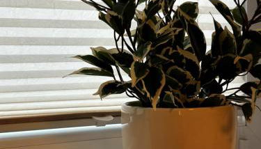 Ferienhaus Weidblick - Foto 3