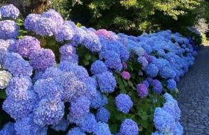 Casa do Penedo - Quinta de Fundevilla - Foto 45