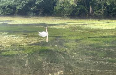 The Forge - Photo 27