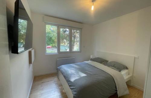 Olivier du ciel ODC - Photo 27