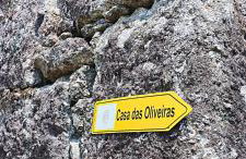 Casa Nova das Oliveiras - Foto 10