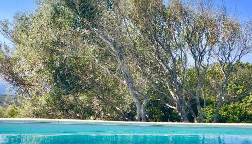 Les Villas MarInCelu - Foto 4