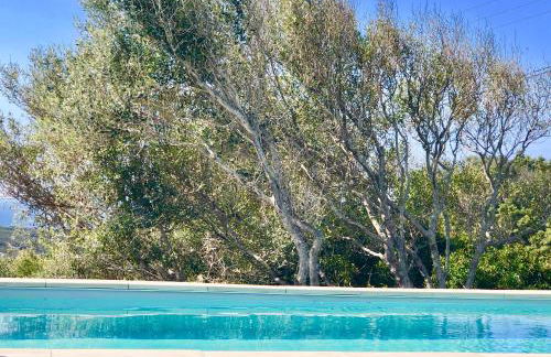 Les Villas MarInCelu - Foto 4