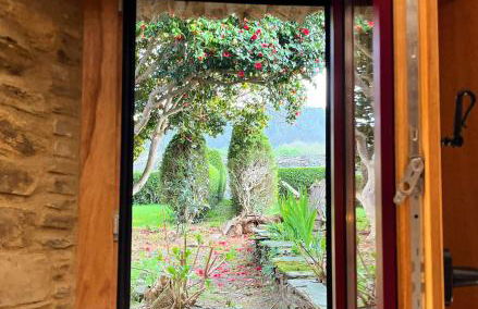 Araucaria House - Foto 74