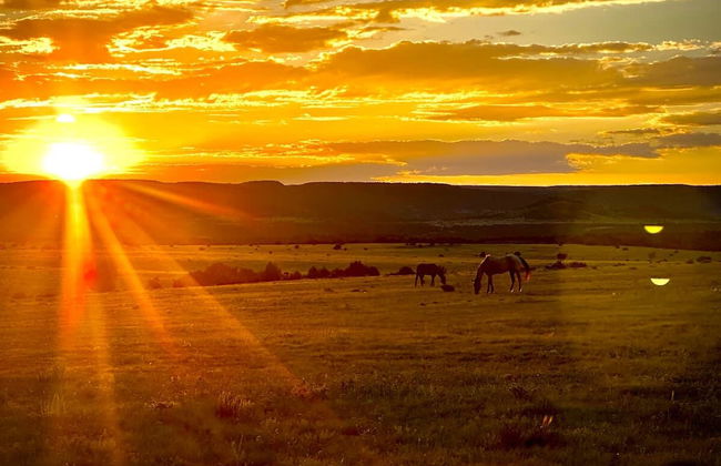 Franklin Fab Gallery House - Photo 27