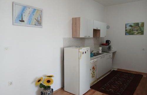 Apartments Smokva - Photo 17