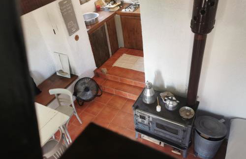 Dendrocopos Medius - Photo 16