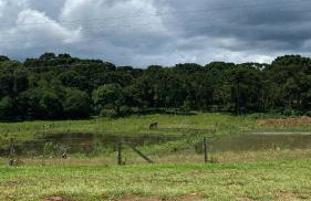 Chácara Morango do amor - Foto 5