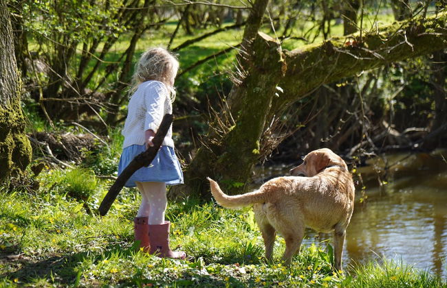 1 Bed 17th Century Stone Cottage in Rural Devon - Foto 24