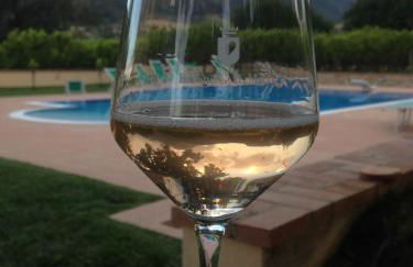 Barone GR Macrì Agriturismo Modi - Foto 6