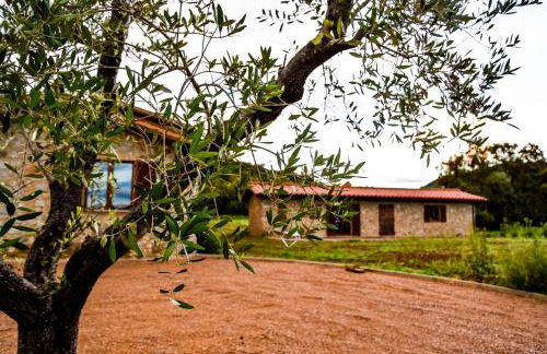 Casa Campione - Foto 8