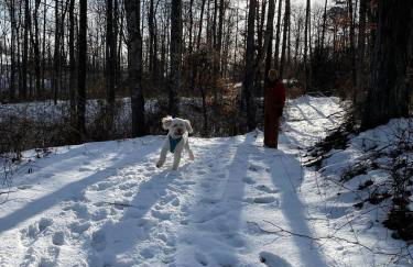 Fern Hill Cabin - Foto 38