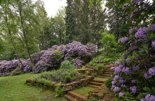 Villa Brodthage, App. 1 - Photo 3