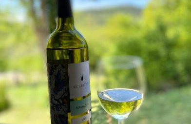 Lucky Home - Apartment Art Grožnjan - Foto 23