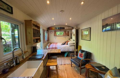 Shepherd’s delight - Foto 8