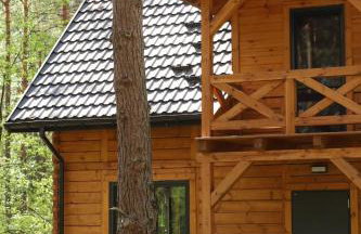 Na Las Czas, Wilga - Foto 46