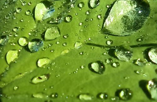 Ferienwohnung Ilona, Armin & Simon Funke - Photo 11