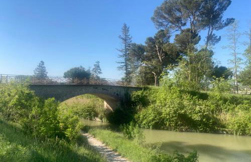 Maison DELMAS, l'Oustal du Recantu - Foto 48