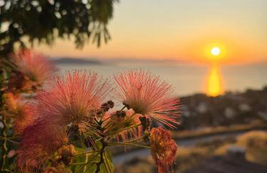 La Casa Del Sol Villa Aegina sea and Sunsets - Foto 73