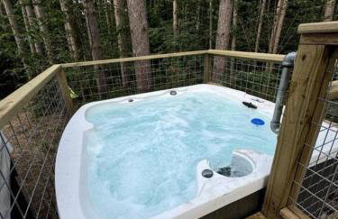 Luxury Private Dome with Spa and Fire Pit in Benzonia, Michigan - Foto 11